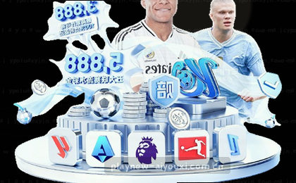1. 在线帮助中心  
2. 服务支持平台
3. 快速服务通道 
4. 专属客服支持